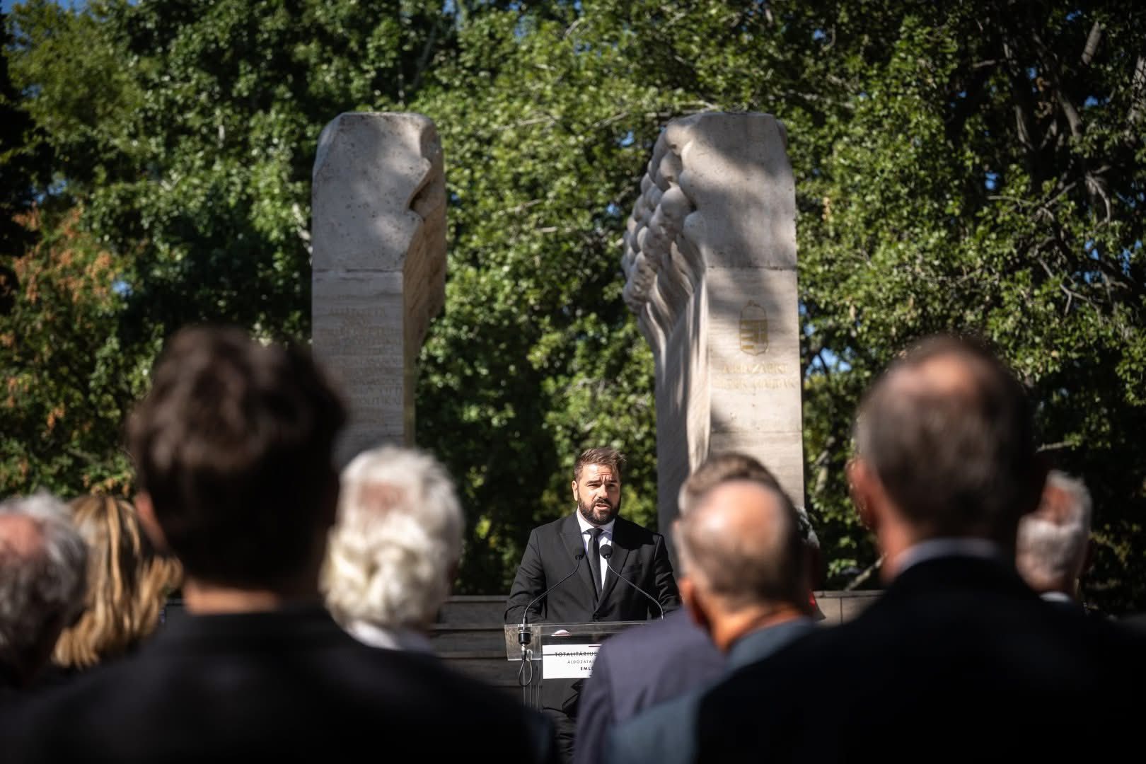 537592319 1136189561889971 189696706804171868 n